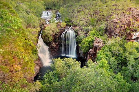 Full-Day Private Guided Tour To Litchfield National Park - Holiday Cairns 0