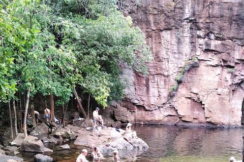 Full-Day Private Guided Tour To Litchfield National Park - Holiday Cairns 16
