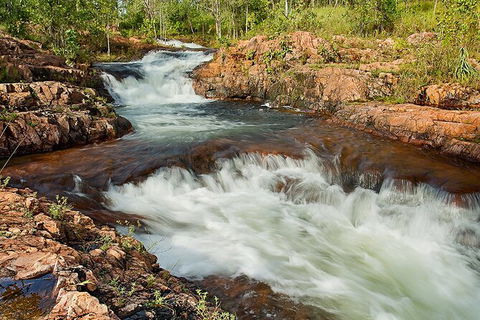 Full-Day Private Guided Tour To Litchfield National Park - Holiday Cairns 3