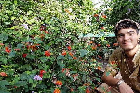Full-Day Private Guided Tour To Litchfield National Park - Holiday Cairns 17
