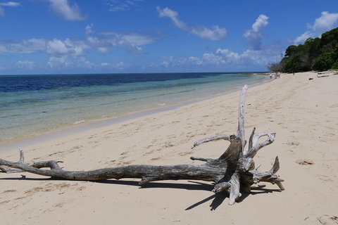 Green Island & Great Barrier Reef Sailing Cruise From Cairns - Only 25 Guests - Holiday Cairns 2