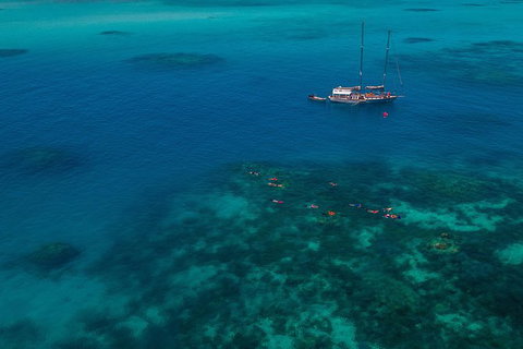 Green Island & Great Barrier Reef Sailing Cruise From Cairns - Only 25 Guests - Holiday Cairns 0