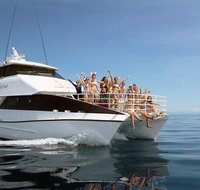 Seastar Luxury Outer Great Barrier Reef Island and Reef Tour from Cairns - Holiday Cairns