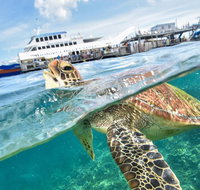 Outer Reef Pontoon Experience from Cairns - Holiday Cairns