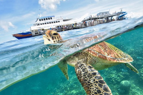Outer Reef Pontoon Experience From Cairns - Holiday Cairns 0