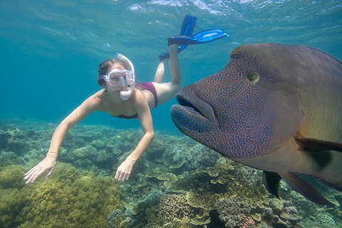 Outer Reef Pontoon Experience From Cairns - Holiday Cairns 5