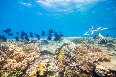 Outer Reef Pontoon Experience From Cairns - Holiday Cairns 2