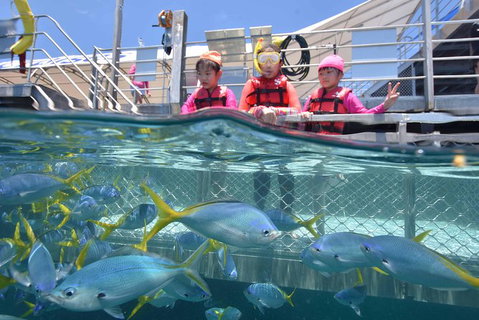 Outer Reef Pontoon Experience From Cairns - Holiday Cairns 8