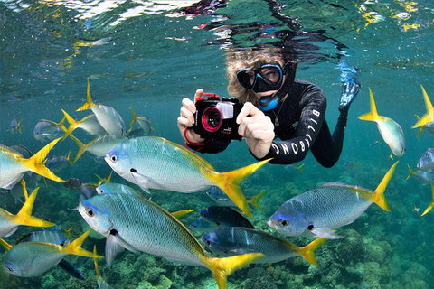 Outer Reef Pontoon Experience From Cairns - Holiday Cairns 10