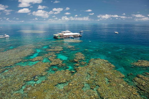 Great Barrier Reef Day Cruise From Cairns Including Snorkeling And Marine Biologist Presentation - Holiday Cairns 8