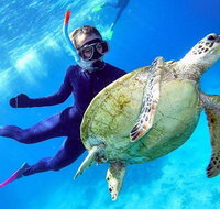 Great Barrier Reef Day Cruise from Cairns Including Snorkeling and Marine Biologist Presentation - Holiday Cairns
