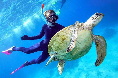 Great Barrier Reef Day Cruise From Cairns Including Snorkeling And Marine Biologist Presentation - Holiday Cairns 0