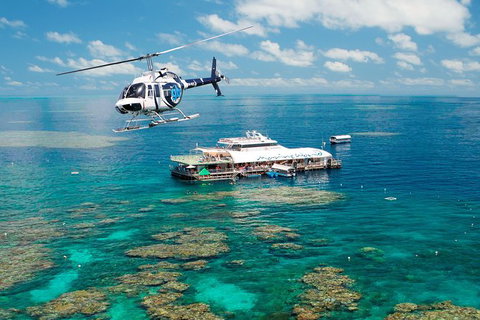 Great Barrier Reef Day Cruise From Cairns Including Snorkeling And Marine Biologist Presentation - Holiday Cairns 1