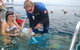 Great Barrier Reef Day Cruise From Cairns Including Snorkeling And Marine Biologist Presentation - thumb 3