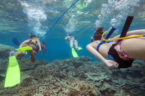 Great Barrier Reef Day Cruise From Cairns Including Snorkeling And Marine Biologist Presentation - Holiday Cairns 2