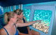 Great Barrier Reef Day Cruise From Cairns Including Snorkeling And Marine Biologist Presentation - thumb 9