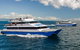 Great Barrier Reef Day Cruise From Cairns Including Snorkeling And Marine Biologist Presentation - thumb 10