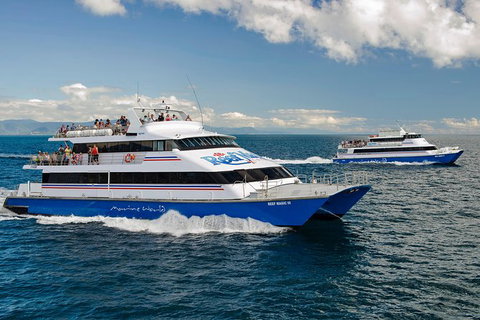 Great Barrier Reef Day Cruise From Cairns Including Snorkeling And Marine Biologist Presentation - Holiday Cairns 10