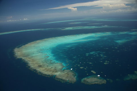 Great Barrier Reef Day Cruise From Cairns Including Snorkeling And Marine Biologist Presentation - Holiday Cairns 5
