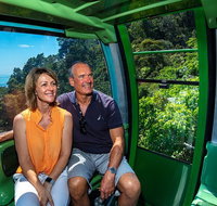 Skyrail Rainforest Cableway Day Trip from Cairns - Holiday Cairns