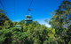 Skyrail Rainforest Cableway Day Trip From Cairns - thumb 3