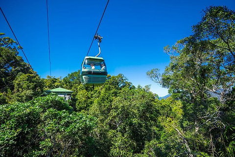 Skyrail Rainforest Cableway Day Trip From Cairns - Holiday Cairns 3