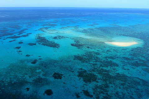 40-Minute Great Barrier Reef Scenic Flight From Cairns - Holiday Cairns 5