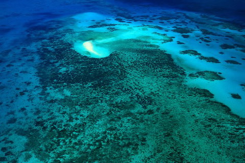 40-Minute Great Barrier Reef Scenic Flight From Cairns - Holiday Cairns 2