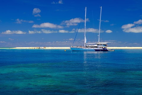 Ocean Spirit Michaelmas Cay Dive And Snorkel Cruise From Cairns - Holiday Cairns 1
