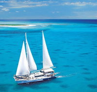 Ocean Spirit Michaelmas Cay Dive and Snorkel Cruise from Cairns - Holiday Cairns