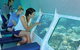 Ocean Spirit Michaelmas Cay Dive And Snorkel Cruise From Cairns - thumb 5