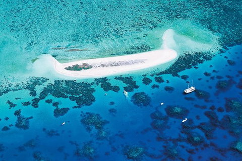 Ocean Spirit Michaelmas Cay Dive And Snorkel Cruise From Cairns - Holiday Cairns 4