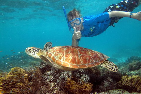 Ocean Spirit Michaelmas Cay Dive And Snorkel Cruise From Cairns - Holiday Cairns 6