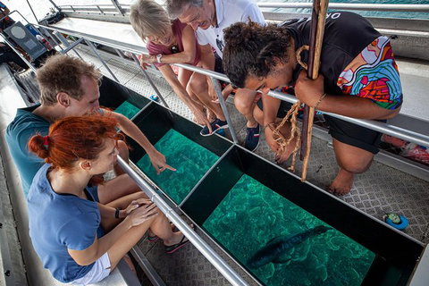 Great Barrier Reef Tour With Indigenous Sea Rangers-Dreamtime Dive And Snorkel - Holiday Cairns 4