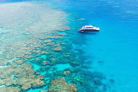 Great Barrier Reef Tour With Indigenous Sea Rangers-Dreamtime Dive And Snorkel - Holiday Cairns 3