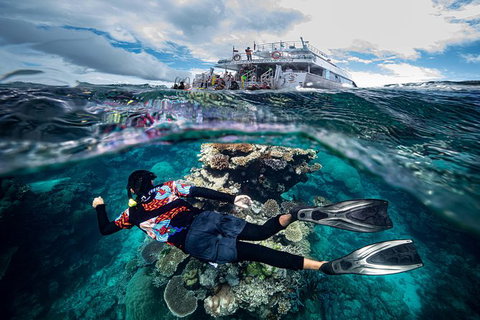 Great Barrier Reef Tour With Indigenous Sea Rangers-Dreamtime Dive And Snorkel - Holiday Cairns 7