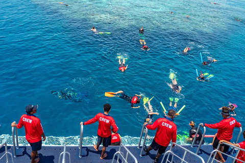 Great Barrier Reef Tour With Indigenous Sea Rangers-Dreamtime Dive And Snorkel - Holiday Cairns 2