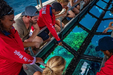 Great Barrier Reef Tour With Indigenous Sea Rangers-Dreamtime Dive And Snorkel - Holiday Cairns 6