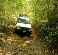 Barron Gorge and Kuranda National Park Half Day Rainforest and Waterfall 4WD Tour from Cairns - Holiday Cairns