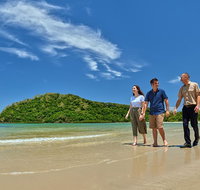 Daintree and Cape Tribulation Tour from Cairns - Holiday Cairns