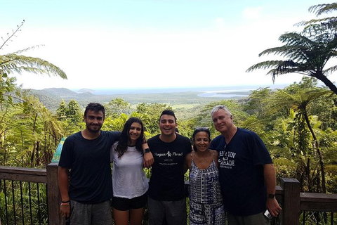 Small Group Daintree Rainforest Tour - Holiday Cairns 5