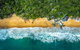 Small Group Daintree Rainforest Tour - thumb 4
