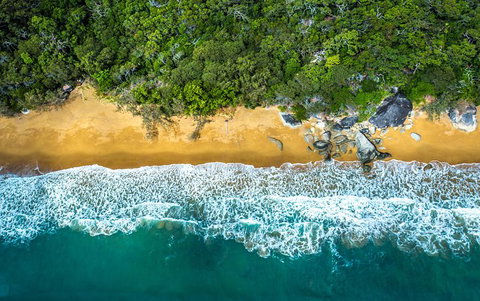 Small Group Daintree Rainforest Tour - Holiday Cairns 4