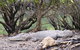 Small Group Daintree Rainforest Tour - thumb 3