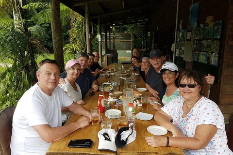 Small Group Daintree Rainforest Tour - Holiday Cairns 1