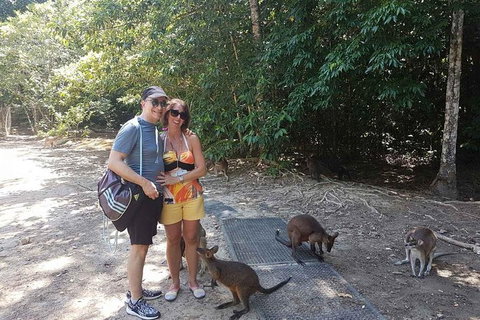 Small Group Daintree Rainforest Tour - Holiday Cairns 6