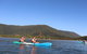 Kayak Turtle Tour From Palm Cove - thumb 24