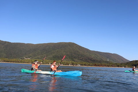 Kayak Turtle Tour From Palm Cove - Holiday Cairns 24