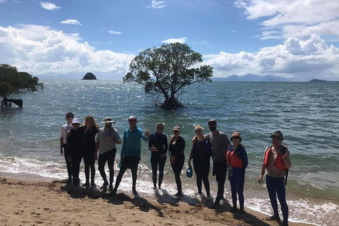 Kayak Turtle Tour From Palm Cove - Holiday Cairns 17