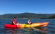 Kayak Turtle Tour From Palm Cove - thumb 45